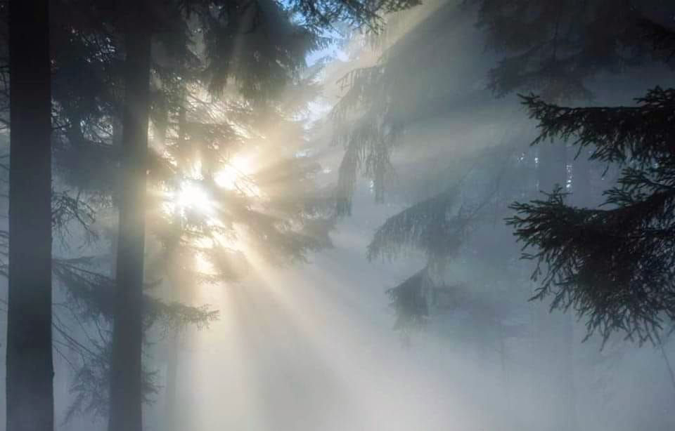 thumbnail_89b8dd92-7e42-4127-a946-c16895210738.jpg