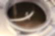 IMG_3491.jpeg
