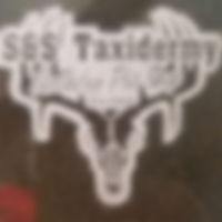 21433060_1763530947042958_54125660428832