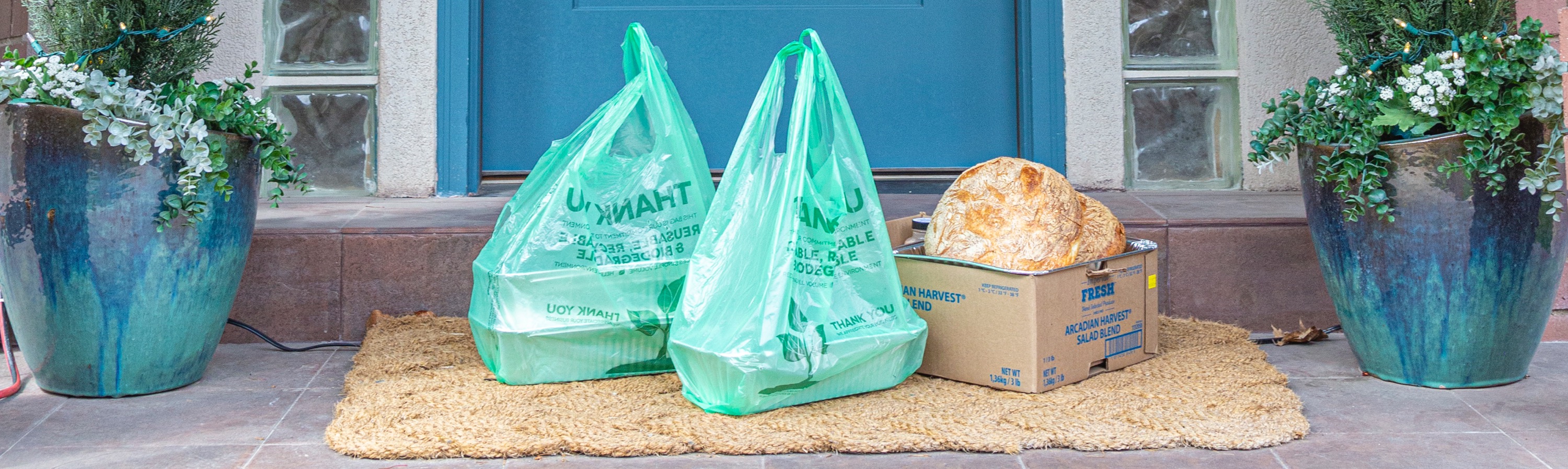 Arranged Food and Objects