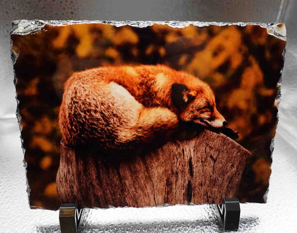 Rectangular Photo Slate - Sleepy Fox