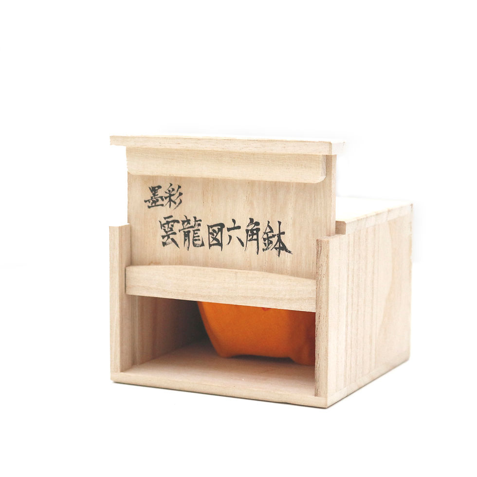 Miniaturbild: Japan Ikko Bonsai Pot 9cm