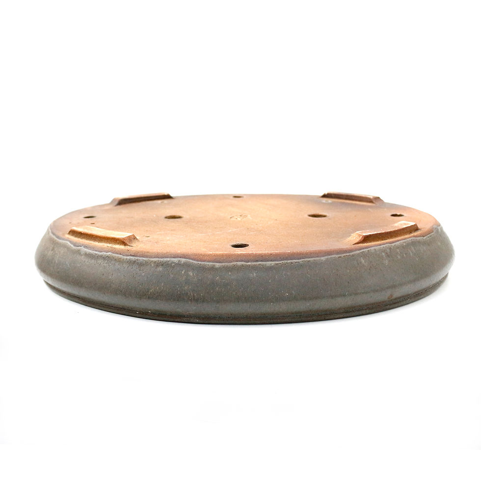 Miniaturbild: Bryan Albright 2000 Oval Bonsai Pot 42cm
