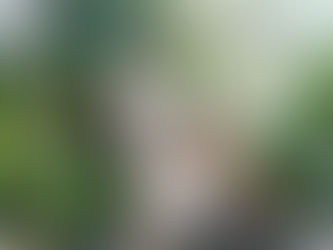 How a Well-Designed Home Can Reduce Stress