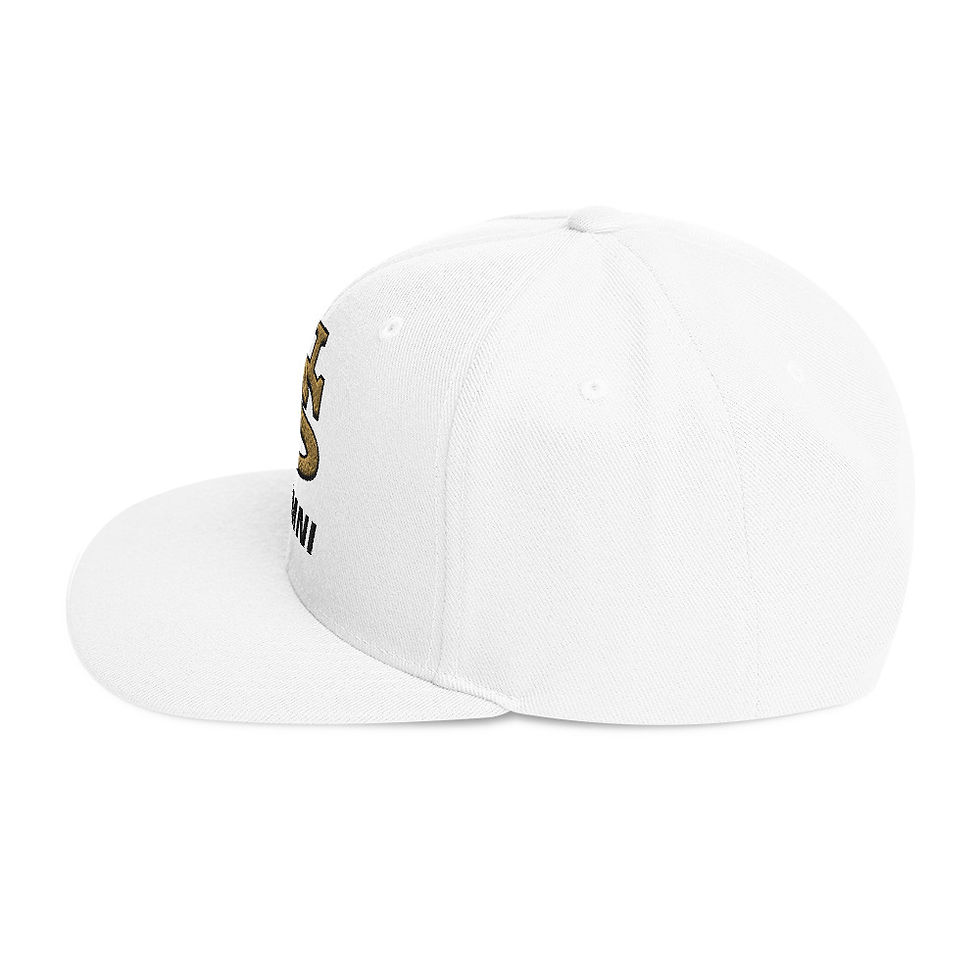 Thumbnail: NS-Monogram Alumni Snapback Hat