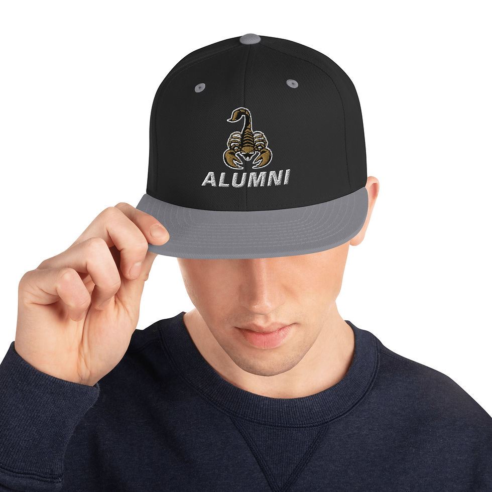 Thumbnail: Scorpions Alumni Snapback Hat