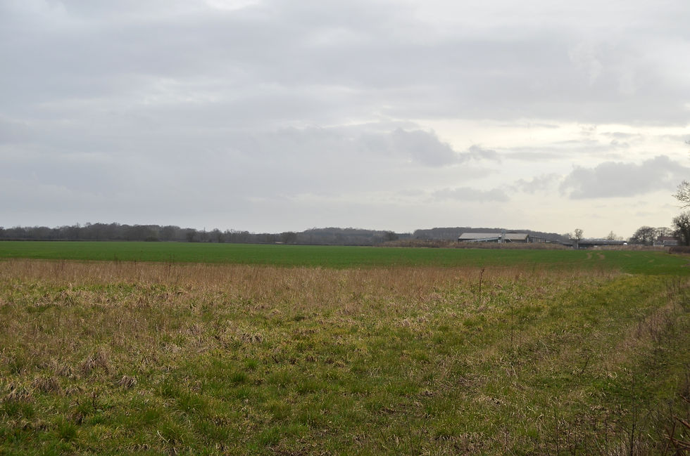 Battle of Bosworth, 1485