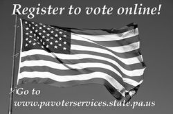 Voting Graphic