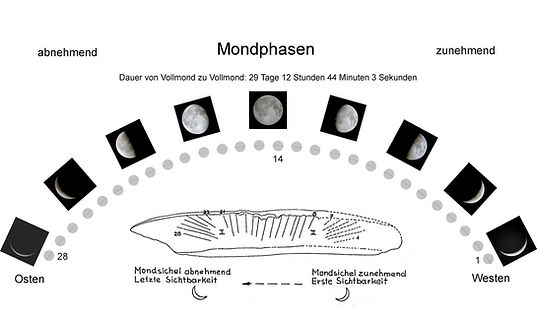 Knochen mit Ritzungen von Bilzingsleben/Thüringen