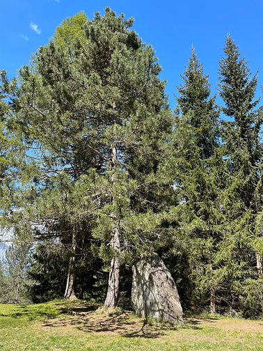Menhir bei Igls