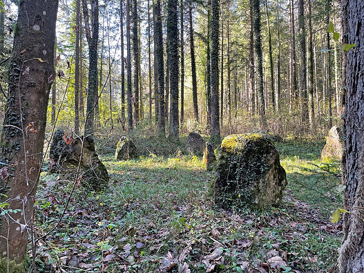 Steinkreis_Münster_2.jpg