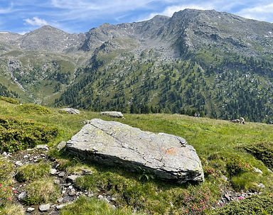 Schalenstein Viggar-Hochleger