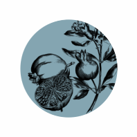 Thumbnail: NA0100 Printed Wooden Knob Graphic Fruit