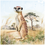 Thumbnail: Scatter Cushion Or Cushion Cover Meerkat