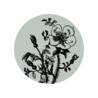 Thumbnail: NA0100 Printed Wooden Knob Graphic Bloom