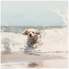 Thumbnail: Scatter Cushion Or Cushion Cover Coastal Dreams