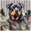 Thumbnail: FSC2387 Printed Panel Rottweiler