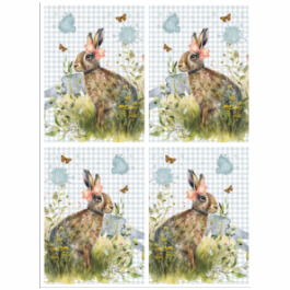 Thumbnail: Tear Resistant Deco Print A6 Farm