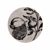Thumbnail: NA0100 Printed Wooden Knob Graphic Fruit