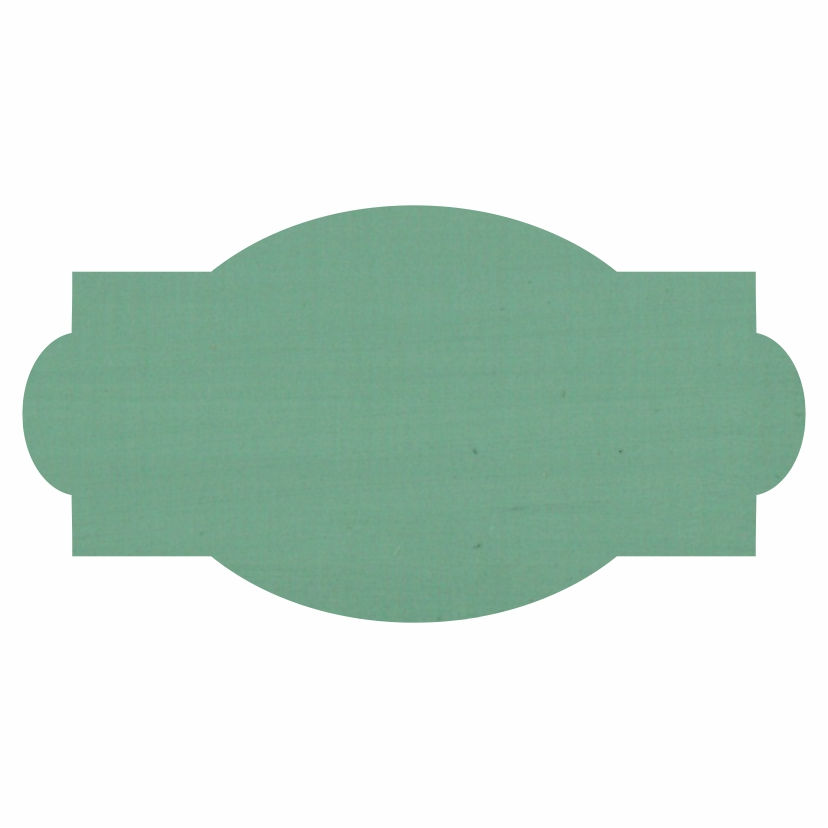 Thumbnail: Crafters Paint Eucalyptus