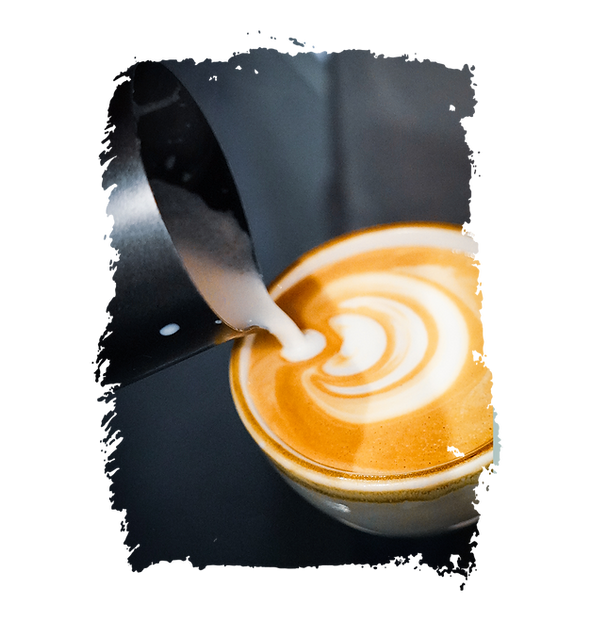 Photo of Olive Tree Bangor coffee