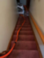 carpet1 (3)