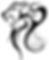 Logo_leone.png
