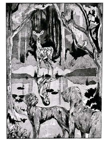 The Discovery Of Sadhbh