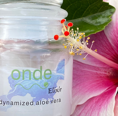 Onde Elixir.jpg