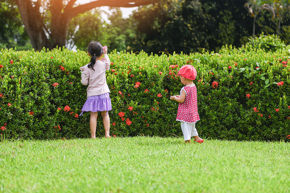 children-having-fun-playing-outside-asian-kids-girl-happy-garden-park-with-flower-tree.jpg
