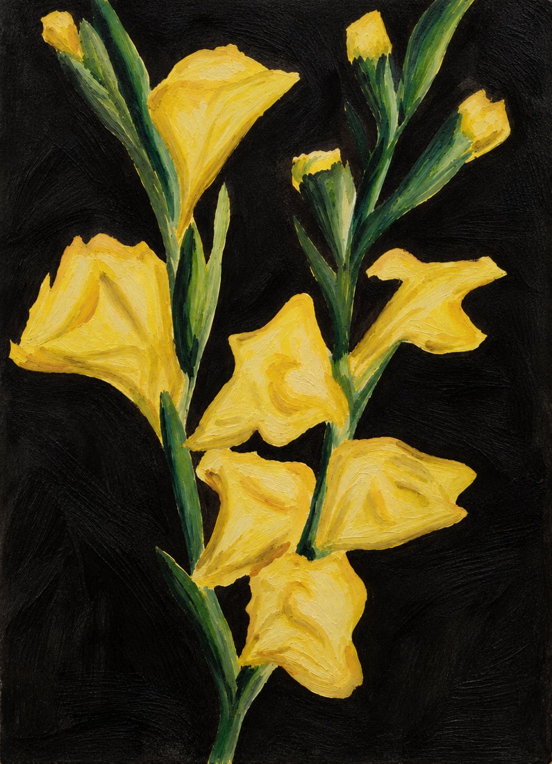 Alexa’s painting of yellow gladiolus on a black background, made for her dad