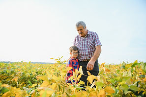 grandfather-grandson-check-harvest-soy-people-farming-agriculture-concept.jpg