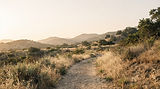 magnific__create-an-ultraphotorealistic-extrawide-editorial-__7582.jpg
