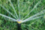 plants-growing-field.jpg