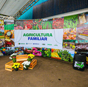 Vendas da agricultura familiar disparam na 17ª Fenachim e superam em mais de 60% a edição de 2022