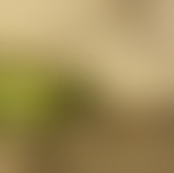 Espaço Gourmet é novidade na 17ª Fenachim