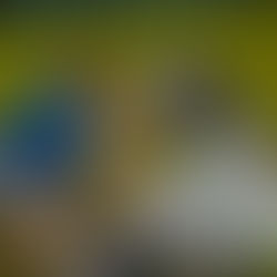 Olimpíadas Campeiras da Fenachim terão presença do Bruxo dos Potros e valorizam tradição gaúcha