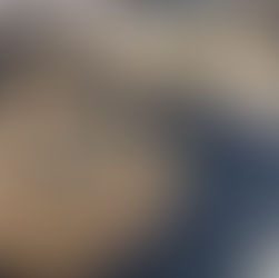 Saionara Gastronomia para Eventos é responsável pelo café colonial da 17ª Fenachim