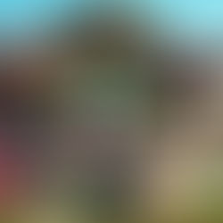 Encontro Estadual de Soberanas reúne charme e tradição na 17ª Fenachim com participação de mais de 40 cortes