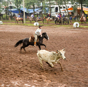 Rodeio Crioulo Estadual vai distribuir R$ 53 mil em prêmios