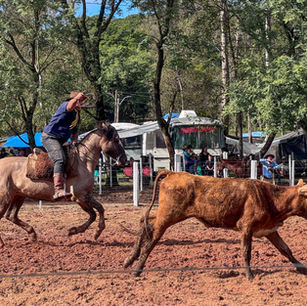 Rodeio Crioulo do CTG Erva-Mate segue até este domingo na 17ª Fenachim