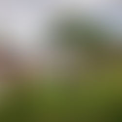 1º Encontro Pet da Fenachim reúne tutores e animais em tarde de integração