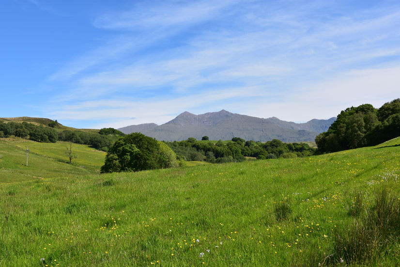 green fields and mountains in the background