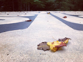 A Blessing of a New Year