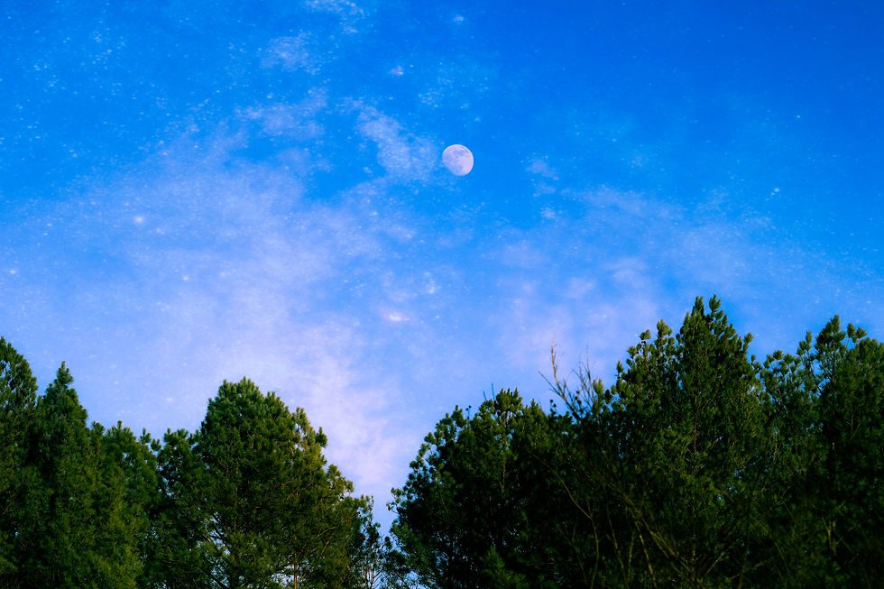 Alabama Moon Rise