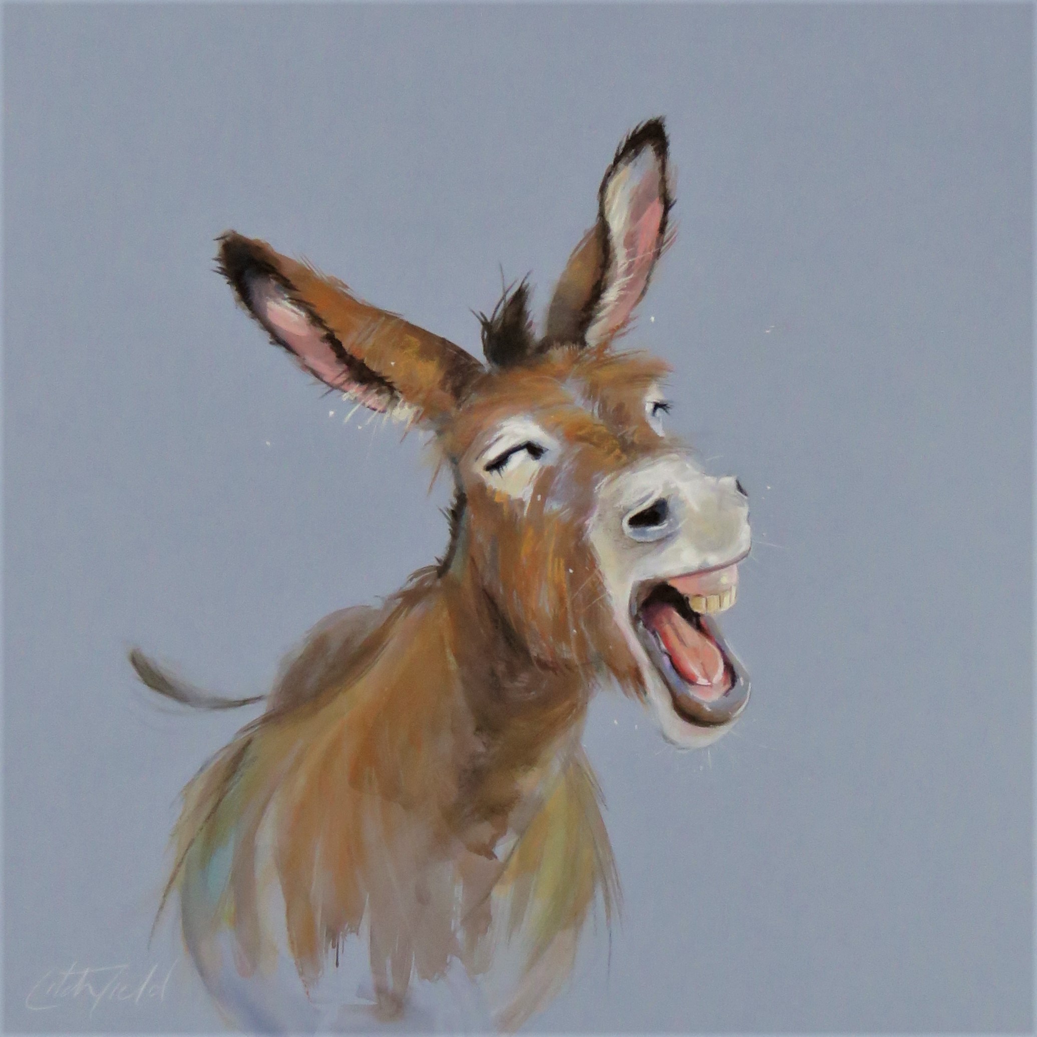 Donkey Light Stare - 4cq70nh