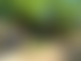 Sell My Coalinga Home Fast — Get a Cash Offer Now