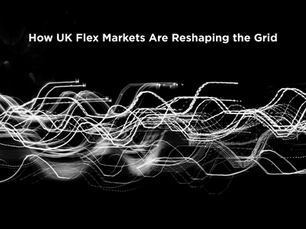 Unlocking the Future of Energy: How UK Flex Markets Are Reshaping the Grid