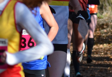 Southern Counties Cross Country U15 G