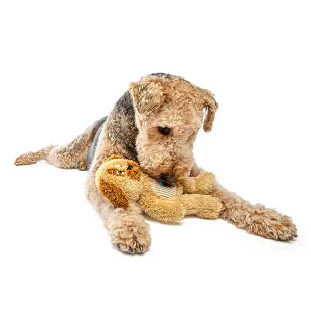 Thumbnail: Guru Soft Scented Vanilla Dog